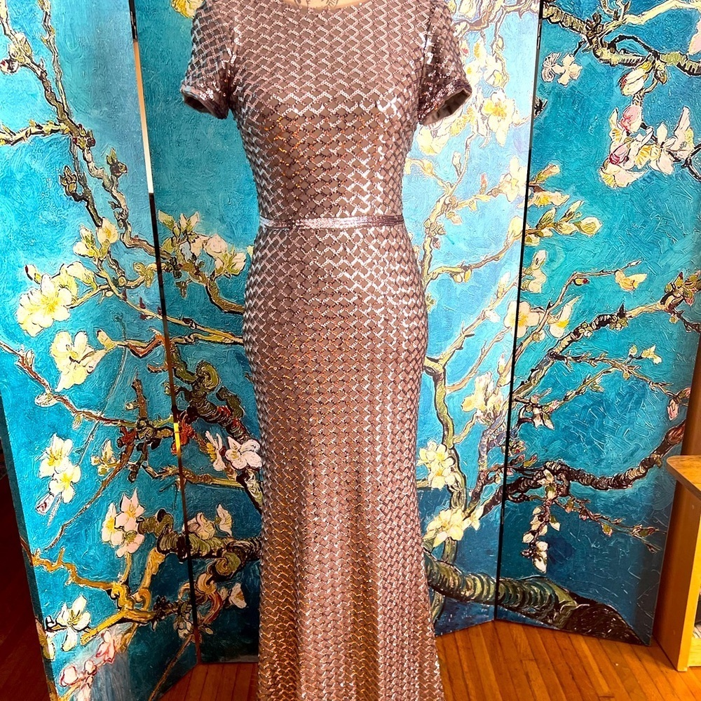 Sleek Rose Gold SZ 6 Aqua, Sequined Formal Gown. - Picture 4 of 16